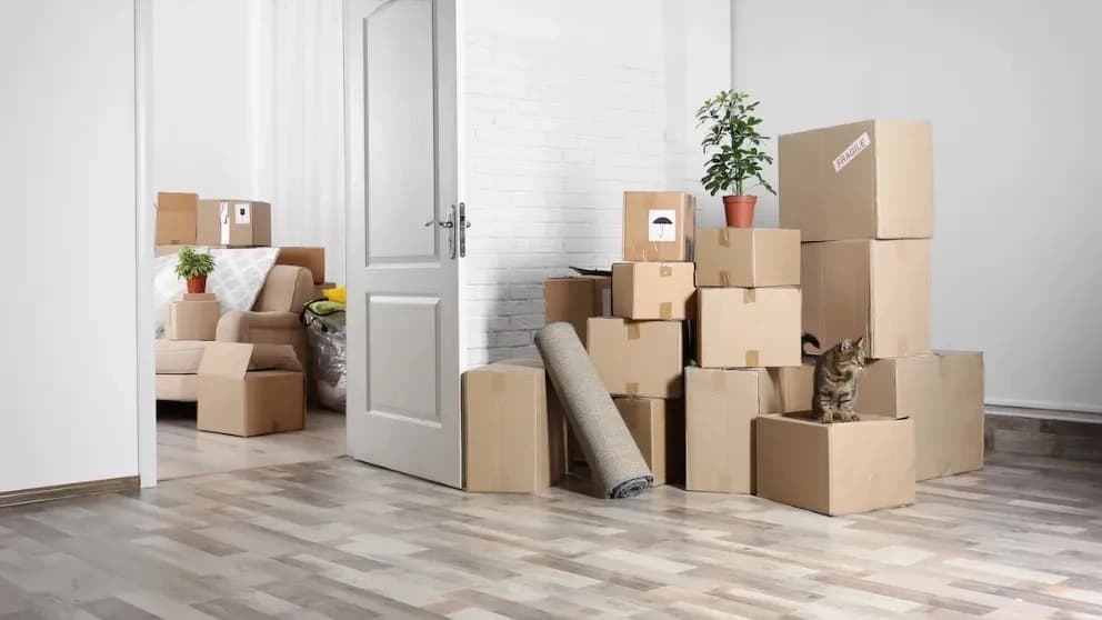 کارتن های اسباب کشی